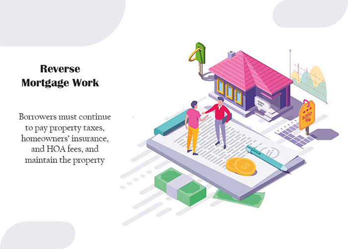 Reverse Mortgage Options